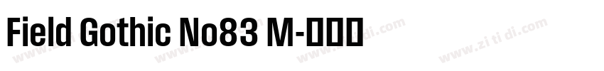 Field Gothic No83 M字体转换